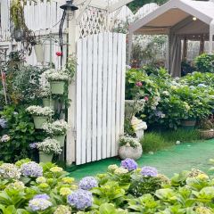 海如的花園張用戶圖片