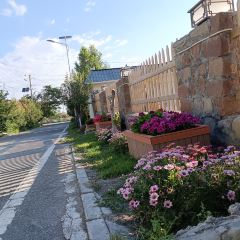 阿尔泰金牧舍 User Photo