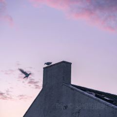 The Cabin 여행 사진