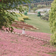 青枫浦餐厅 User Photo
