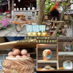 味水记忆·青城野菜土鸡汤(青城后山泰安古镇店) User Photo