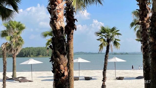 Озеро Мидли