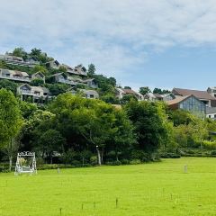 杭州桐廬康萊德酒店中餐廳·樂張用戶圖片