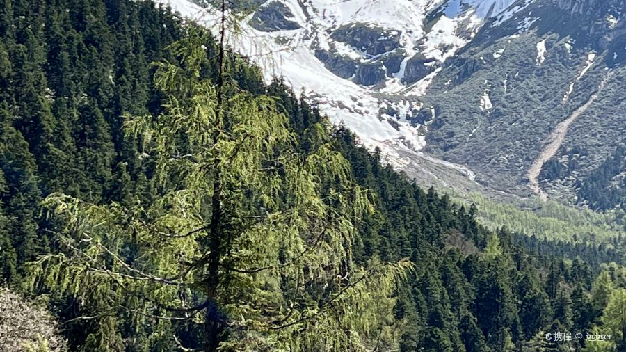 红房子丑丑饭店