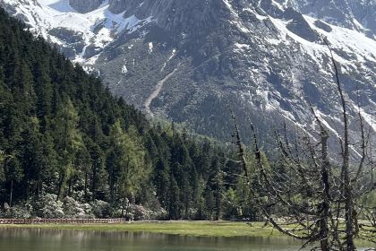 红房子丑丑饭店