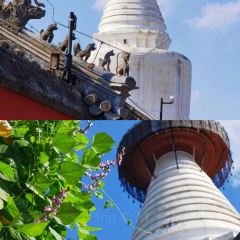 存海羊杂碎·清真 User Photo