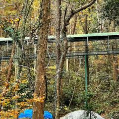 同路人(汇丰店) User Photo