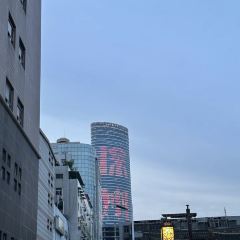 Panji Braised Pork In Brown Sauce User Photo