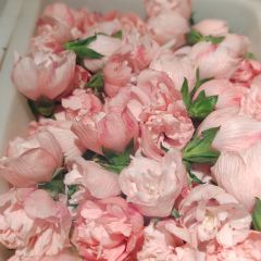 仙店农庄(湖景农庄餐厅) User Photo