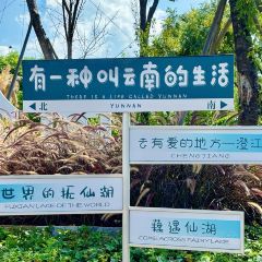 1928食空 User Photo