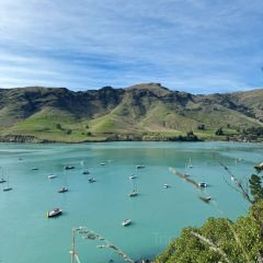Akaroa Fish & Chips User Photo