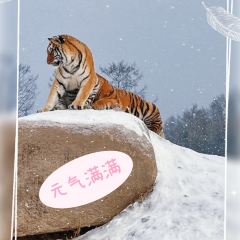 Mu Dan Jiang Xia Wei Yi Guo Ji Da Jiu Dian·Shui Yin Ri Ben Liao Li User Photo