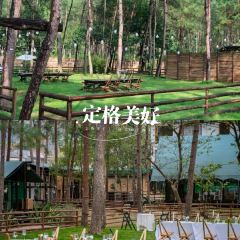 隐丛乡村度假酒店(楠溪江店)·餐厅 User Photo