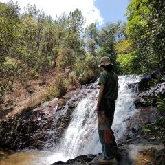 Pho Hieu User Photo
