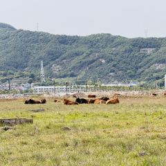 红岩多多 User Photo