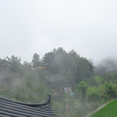 一山树屋咖啡营地 User Photo