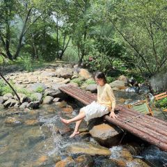 holymen后门儿咖啡店 User Photo
