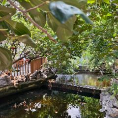 九里羊汤馆(鼓楼园林店) User Photo