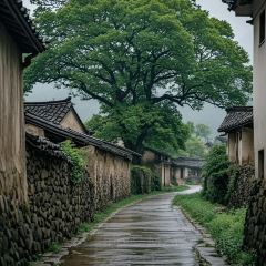 江南小鎮(華潤小徑灣店)張用戶圖片