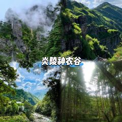 茅坪湖农庄 User Photo