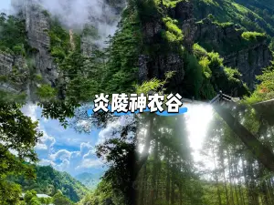 茅坪湖农庄