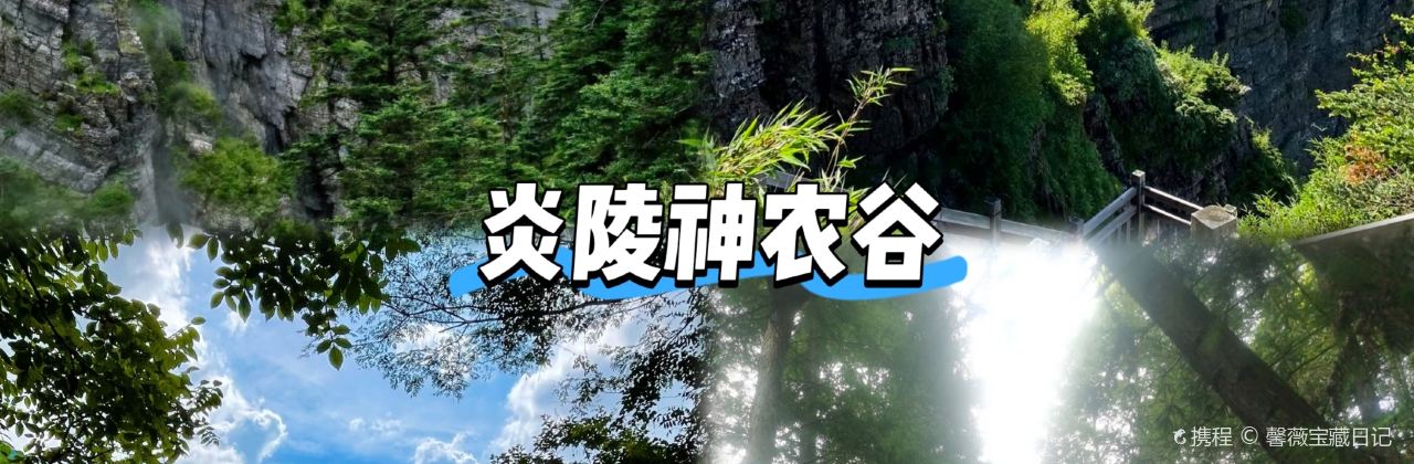 茅坪湖农庄
