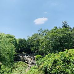 無錫魯能萬豪飯店·萬豪中餐廳張用戶圖片