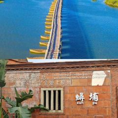 Hall Thing (Licheng) User Photo