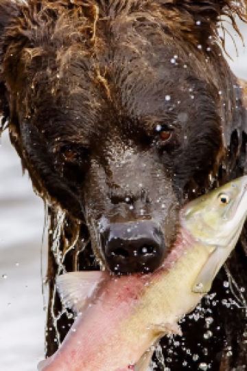 Yifan63 星野リゾート 界 遠州 クーポン