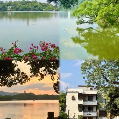 钟姨糖水(惠城店) User Photo