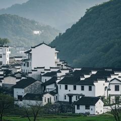 御香农家菜(后坞集散中心店) User Photo