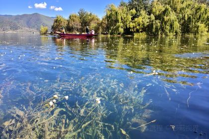 走婚王子蒸汽石锅鱼柴火鸡
