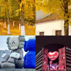 Tang you ba ba User Photo