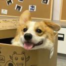 M349452**** 芒果樹酒店（攀枝花高鐵南站店）優惠