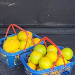 明味生態農莊張用戶圖片