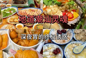 搭好雞煲·生醃（十一合潮汕老厝店）用戶圖片