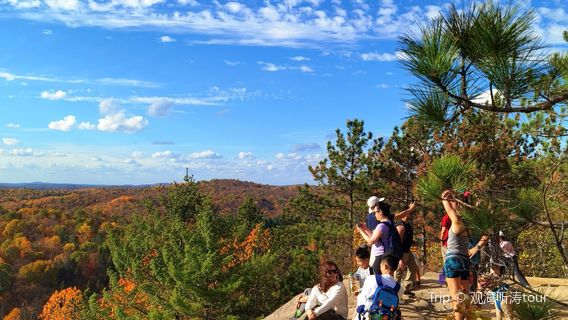 The Cliff Top Scenic Lookout