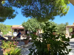Nintri