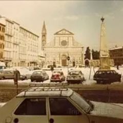 鮮入圍煮張用戶圖片