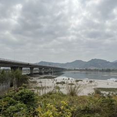 Longxiangdaolongjiangxiaoyuan User Photo