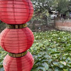 哈尼人家 User Photo