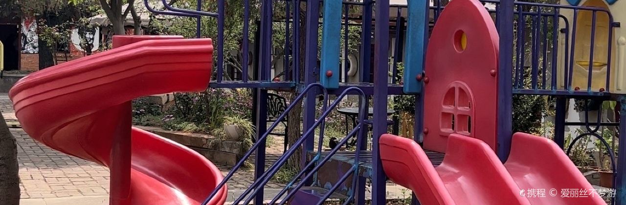 红房老灶柴火鸡