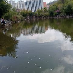 貴州師範學院張用戶圖片