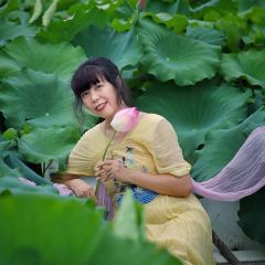 公益茶楼 User Photo