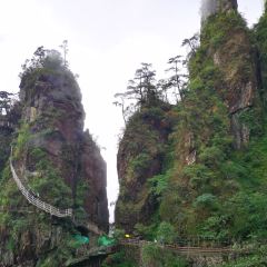 莽山天台山美食 User Photo
