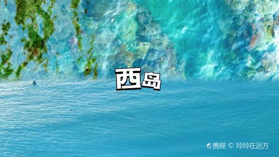 南海渔叔糟粕醋海鲜火锅