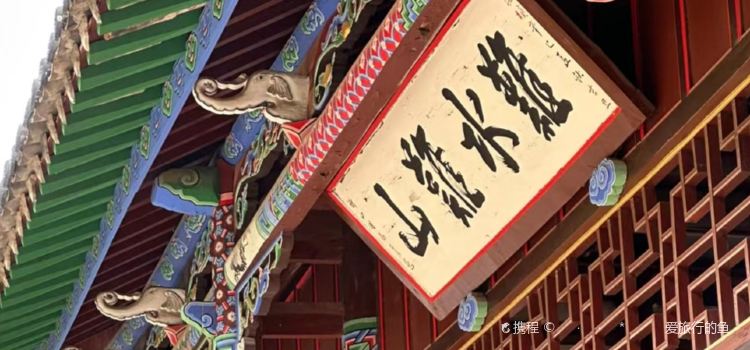 青木