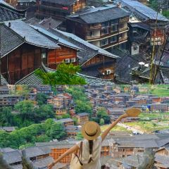 一木草堂咖啡馆 User Photo