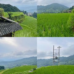 廖胖子特色美食 User Photo