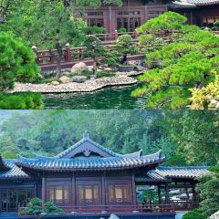 惠明客家王酒家 User Photo